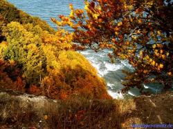 Bild "HerbstKreidefelsen.jpg"